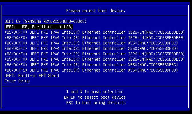 Boot menu — select USB